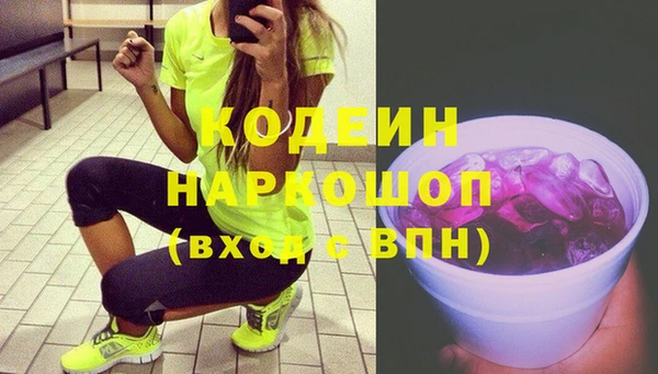 индика Мегион