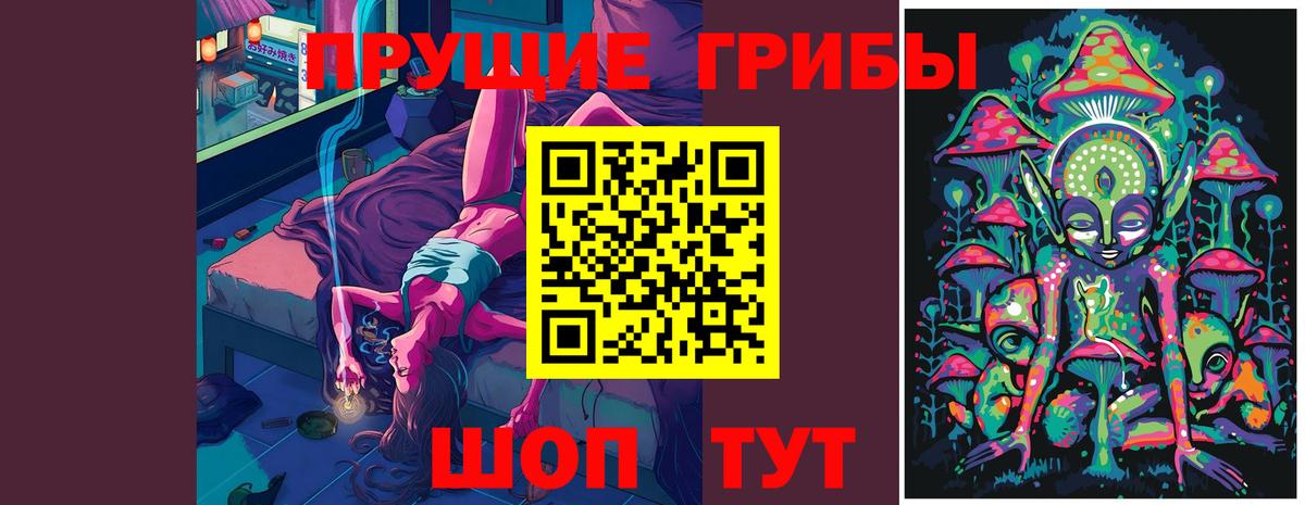 Искитим  Псилоцибиновые грибы Psilocybe  Вход с VPN 